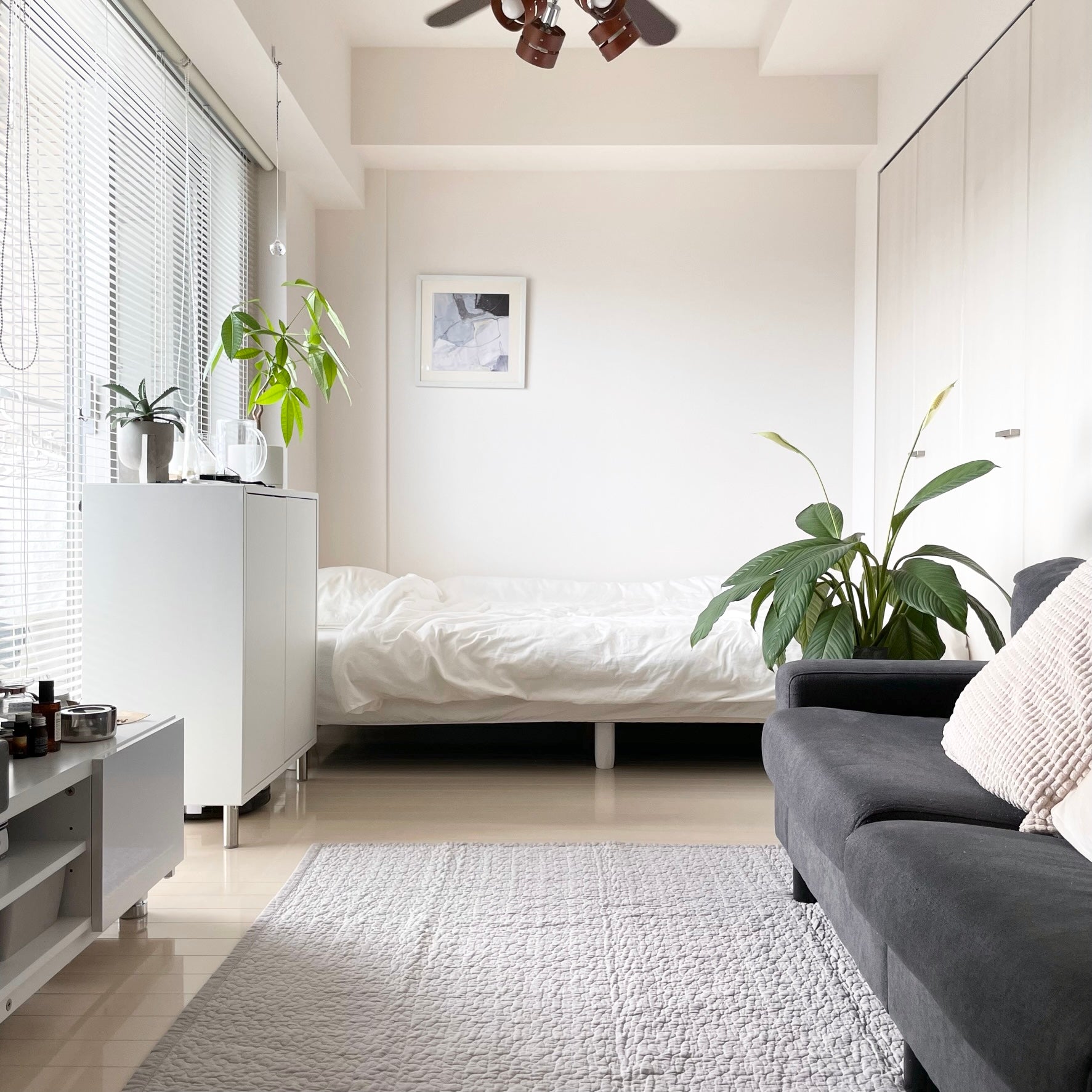 SE-4492-Little Rooms select-イブル × ふわもちセット| cloud ふっくらタイプ