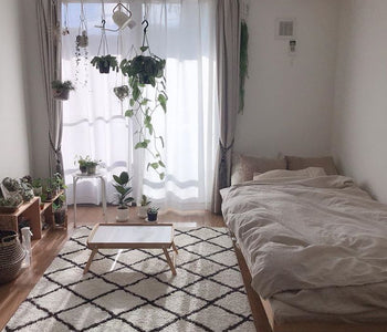 植物は吊るして飾る。おすすめの観葉植物とお部屋コーデ例