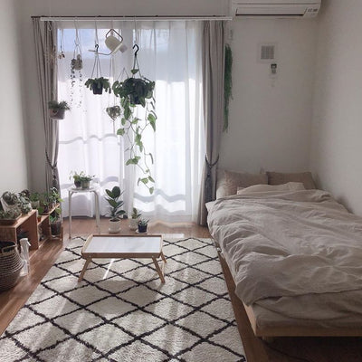 植物は吊るして飾る。おすすめの観葉植物とお部屋コーデ例