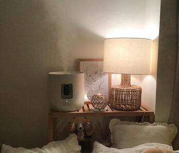 乾燥に負けないお部屋づくり。一人暮らし向けのおしゃれ加湿器