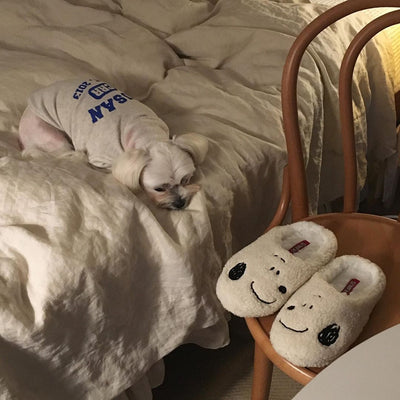 このかわいさに癒される。お部屋に集めたいスヌーピーグッズ