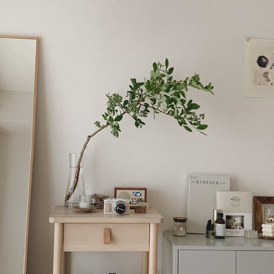 手入れも簡単◎おしゃれな“枝もの”植物でお部屋に爽やかなグリーンを。