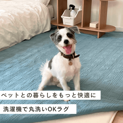 ペットがいるお家に！売上No.1おしゃれな洗えるラグ air rug - Little Rooms