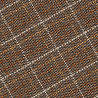 Brown Check