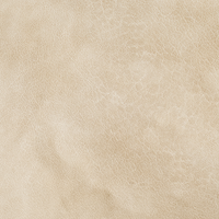 GT Beige