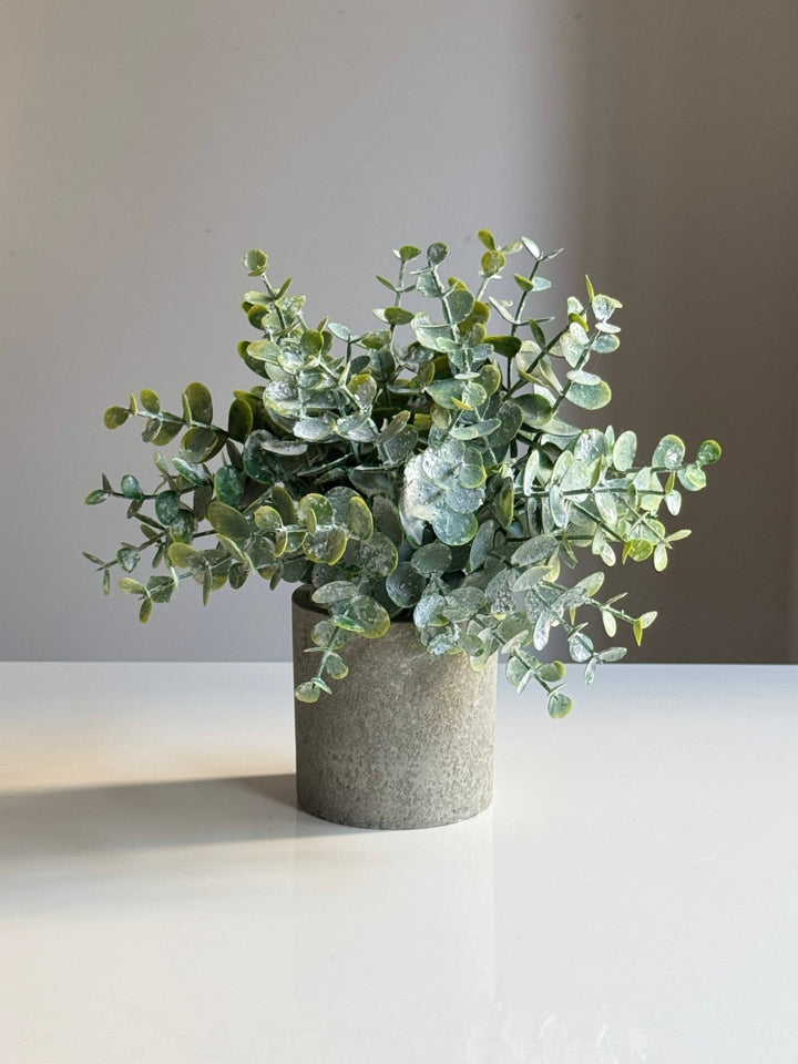 フェイクグリーン　ユーカリ 楽天市場】清涼感のあるフェイクグリーン（ユーカリ 150cm） ニトリ