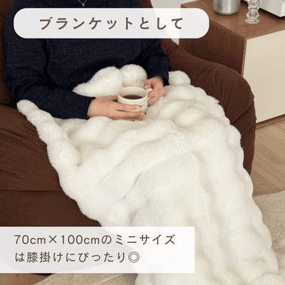 BR-9756 - Little Rooms select - ふわとろリッチファーブランケット