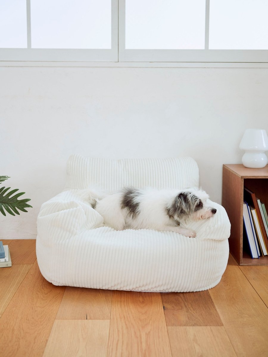 LOOSY 1人掛けビーズソファ ミニ Ivory 付替カバー｜1人用ソファ