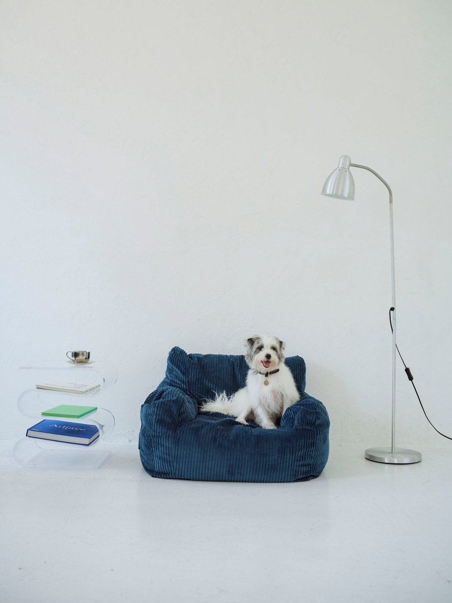 LOOSY 1人掛けビーズソファ ミニ Navy｜1人用ソファ おしゃれ