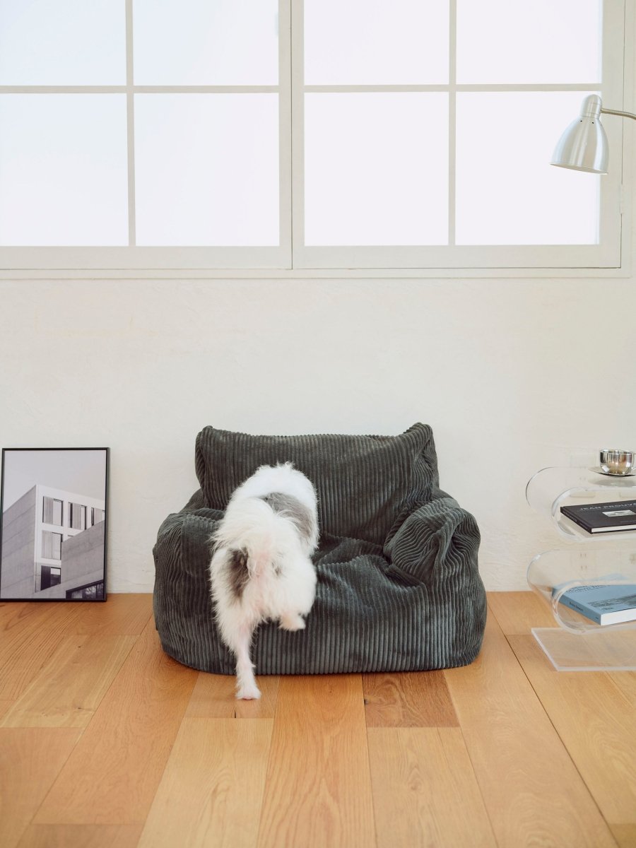 【美品】 LOOSY HUGME 1人掛けビーズソファ CHARCOAL ソファ HUGME 1人掛けビーズソファ Charcoal｜1人用ソファ おしゃれ