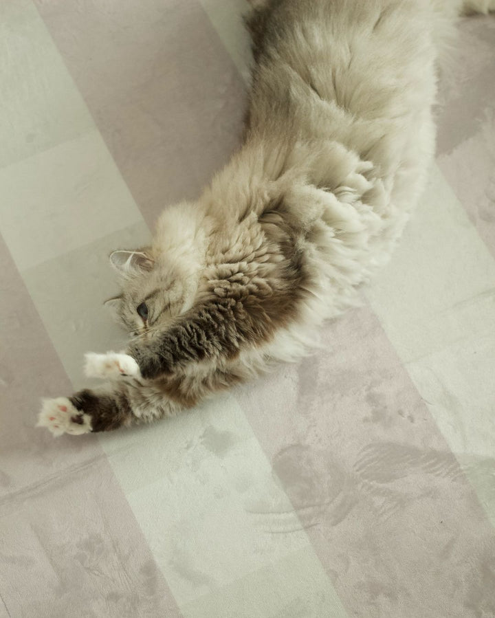 nomia ラグ｜lazy sunday rug – Little Rooms