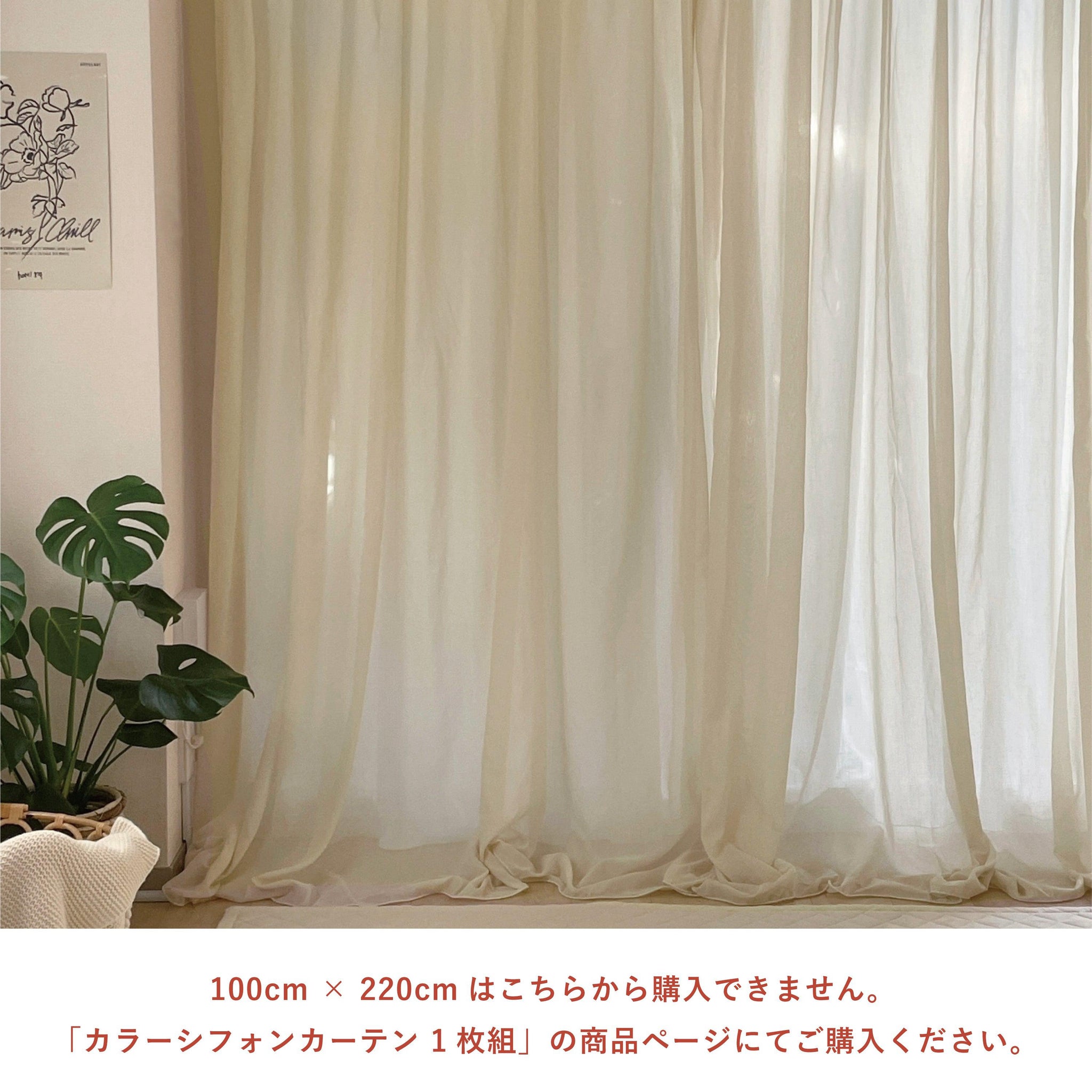 OR-1706-Little Rooms-セミオーダーサイズ｜カラーシフォンカーテン クリーム 1枚