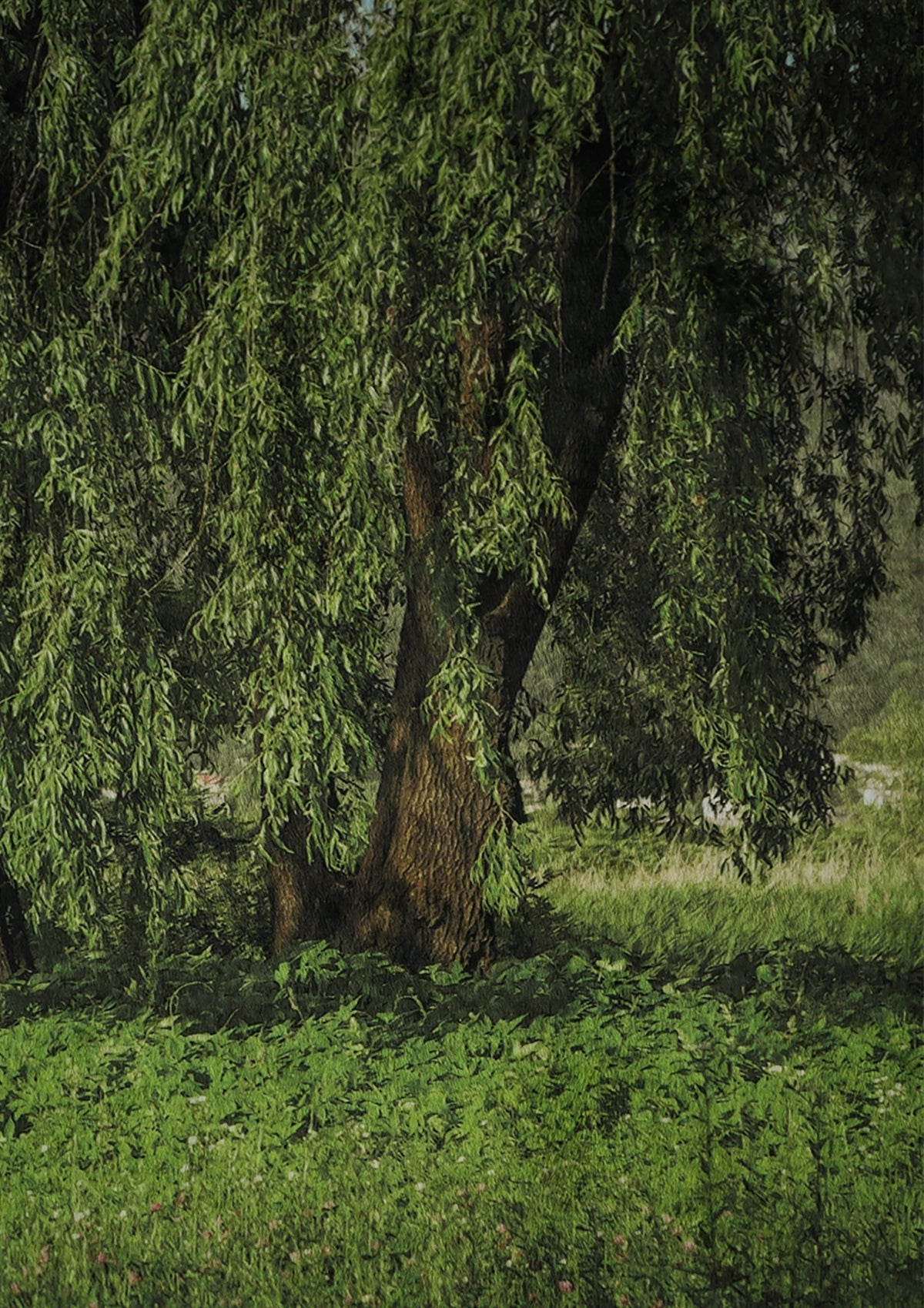BR-3785-sleeptight.object-sleeptight.object ラグ｜green willow rug