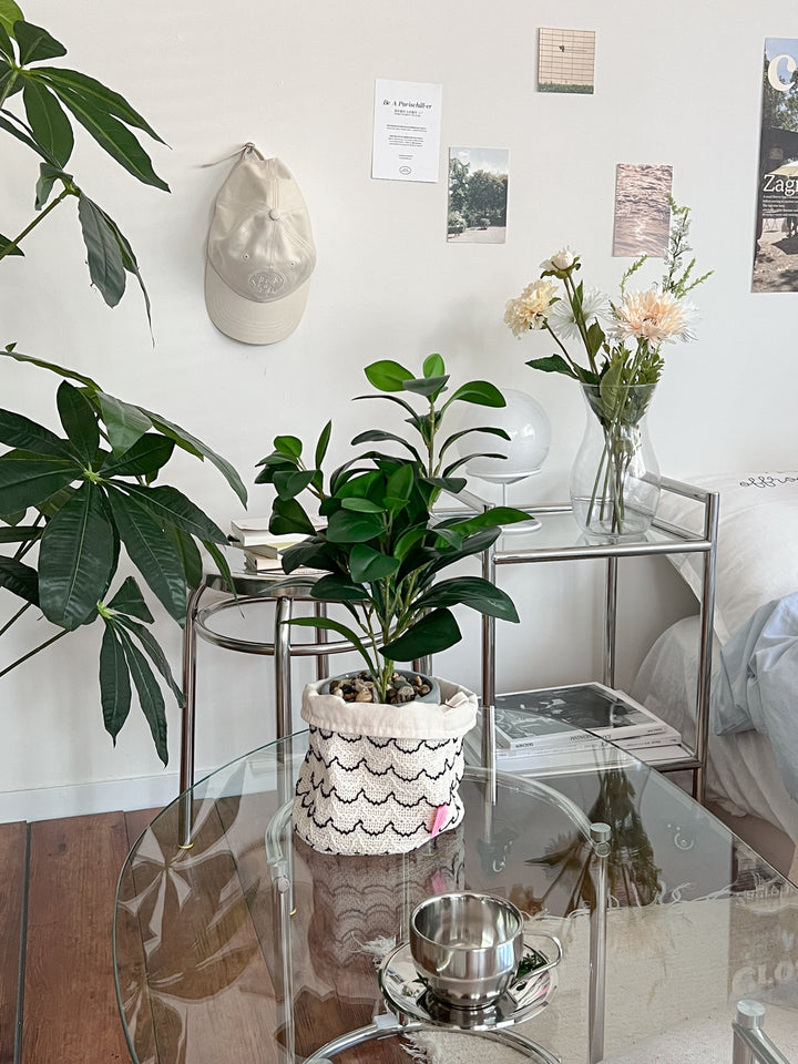 フランスゴム　リビングサイズ　Chic And Natural フェイクグリーン｜フランスゴム 観葉植物 人工 枯れない 鉢付き 卓上