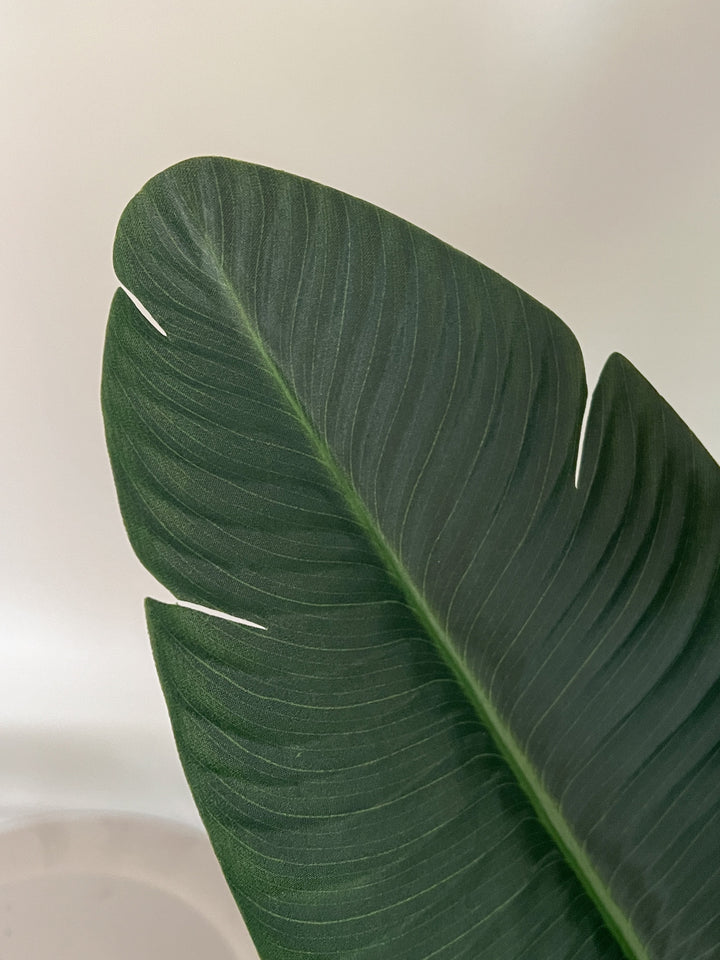 フェイクグリーン｜タビビトノキ 120cm 観葉植物 人工 枯れない 鉢付き