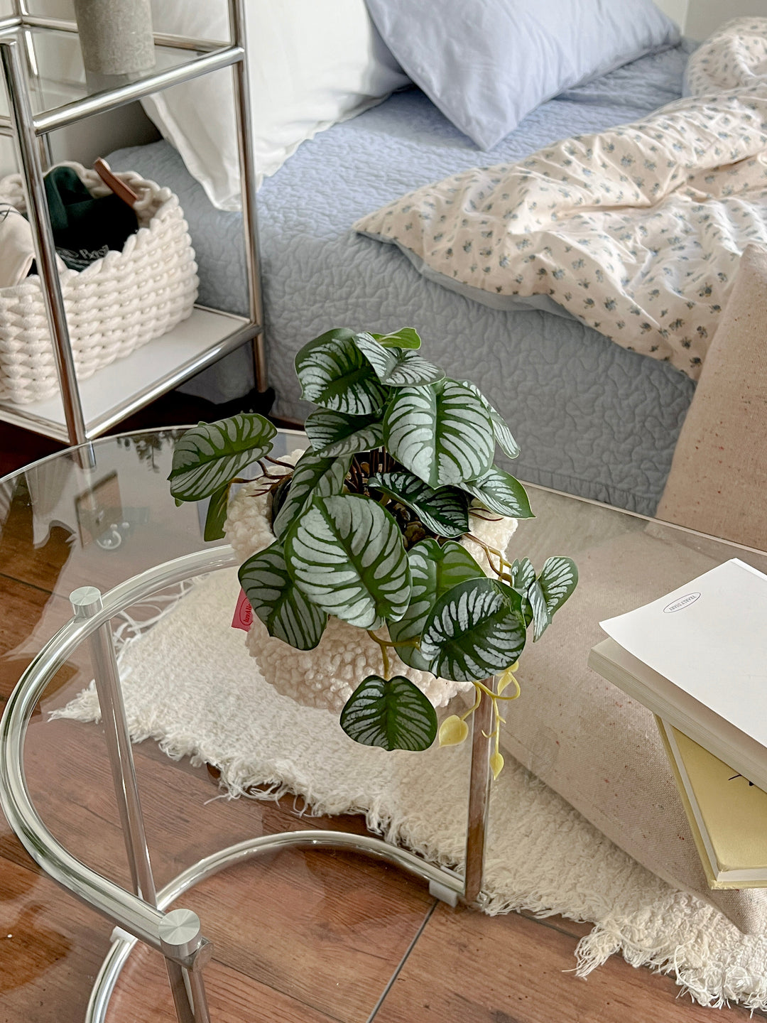 フェイクグリーン｜スイカペペロミア 観葉植物 人工 枯れない 鉢付き