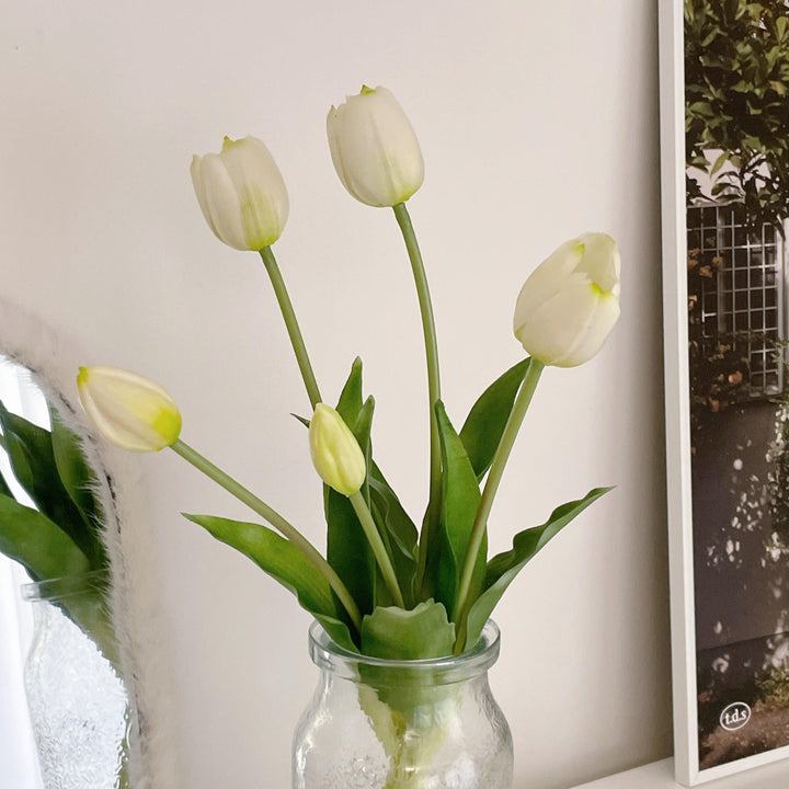 IMG_0784_720x.jpg?v=1692739706