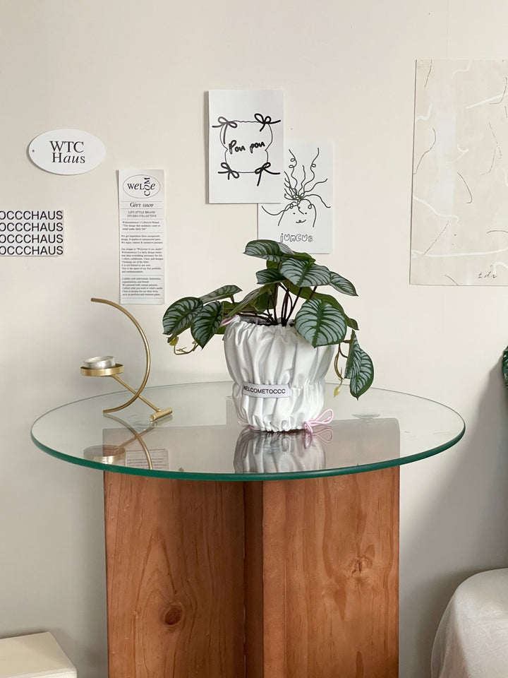 WELCOMETOCCC 鉢&カバーセット｜POUPOUPOT WHITE｜韓国インテリア