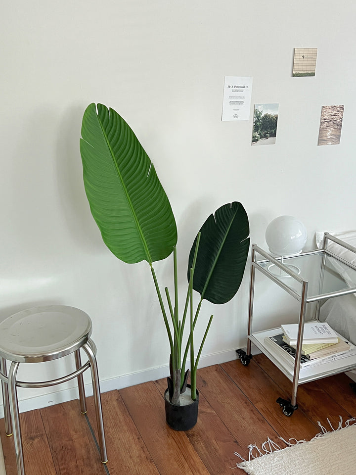 IMG_7004_c7d635a3-8dd9-49ac-