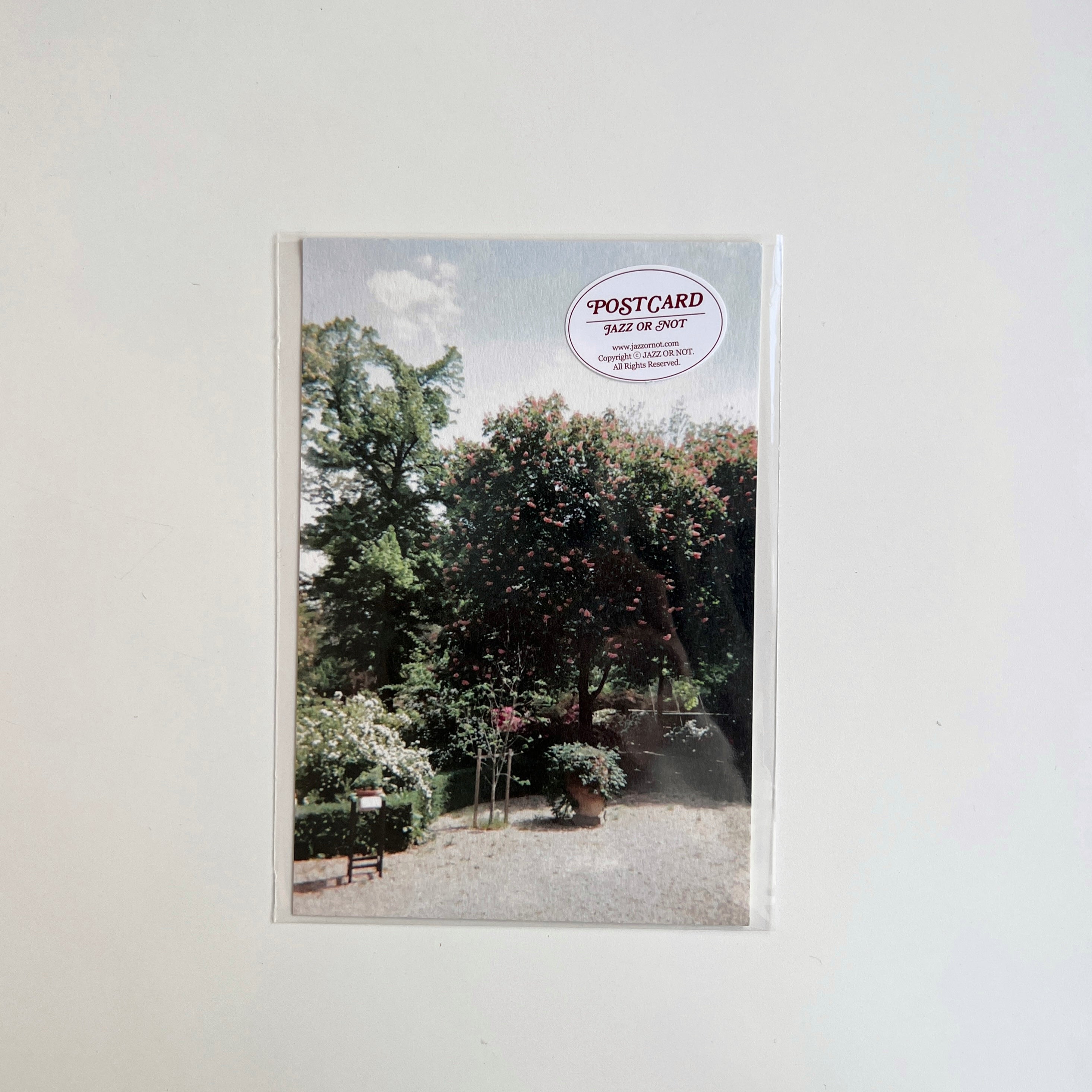 BR-1546-JAZZ OR NOT-JAZZ OR NOT ポストカード｜JARDIN DE PARIS