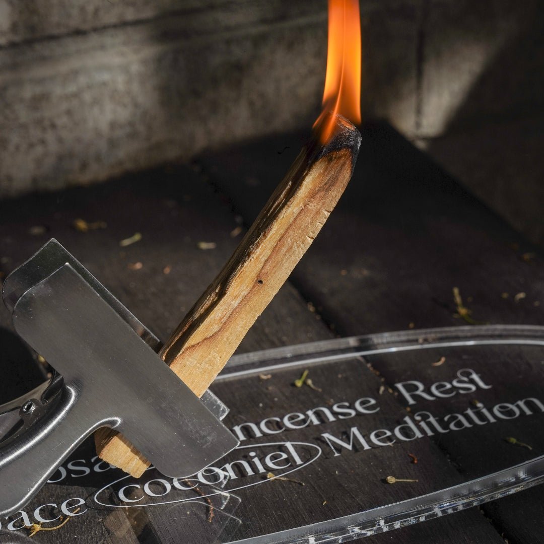 BR-2542-Coconiel-Coconiel お香立て｜Fog incense holder