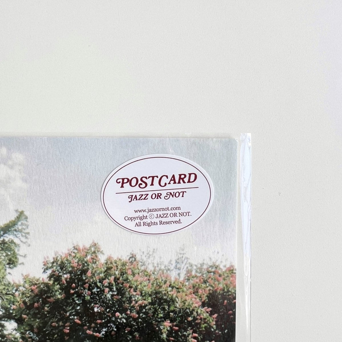 BR-1546 - JAZZ OR NOT - JAZZ OR NOT ポストカード｜JARDIN DE PARIS