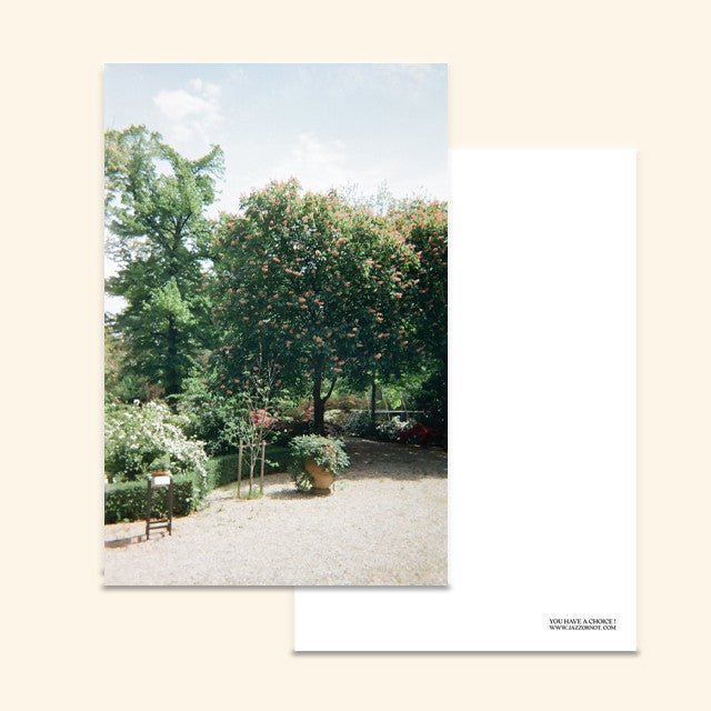 BR-1546-JAZZ OR NOT-JAZZ OR NOT ポストカード｜JARDIN DE PARIS