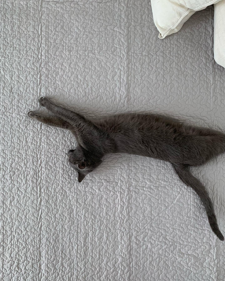 SE-3140-Little Rooms-【10%OFF】冬もあったか イブル × ホットカーペットセット