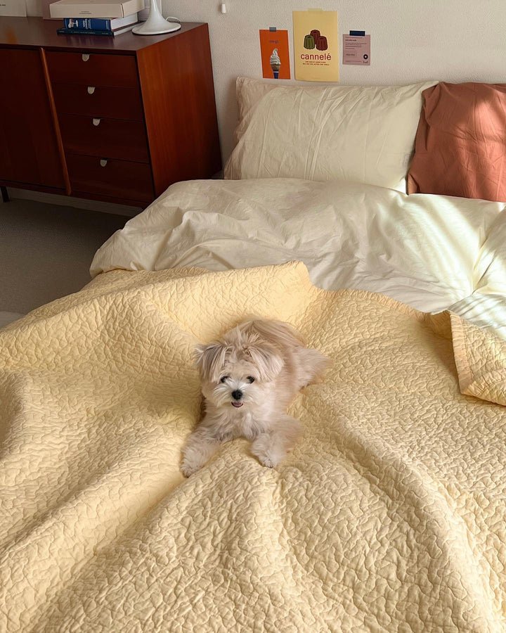 SE-3141-Little Rooms-【10%OFF】冬もあったか イブル × ホットカーペットセット