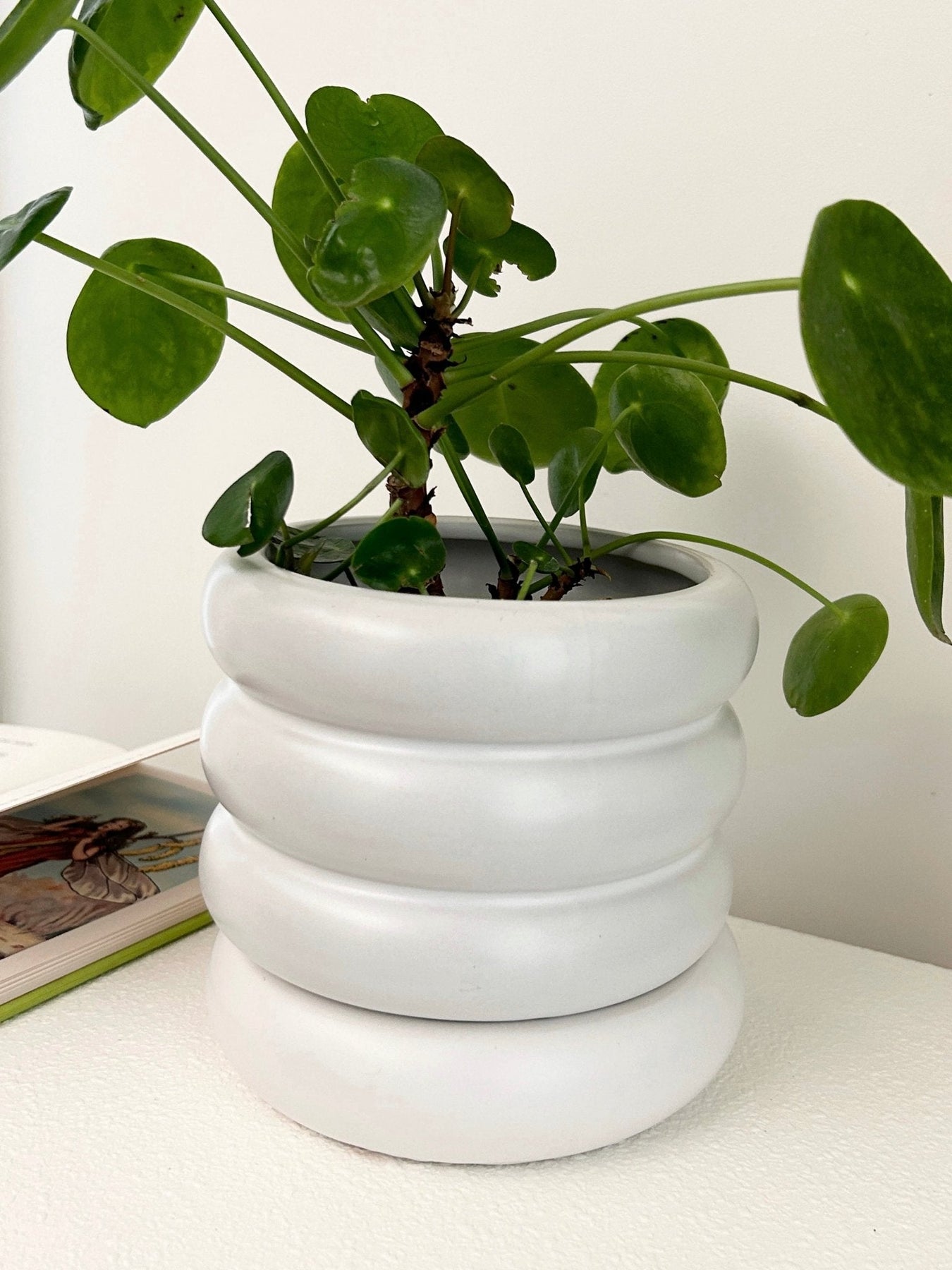 受け皿付きセラミック植木鉢| 鉢カバー 観葉植物 グリーン 陶器