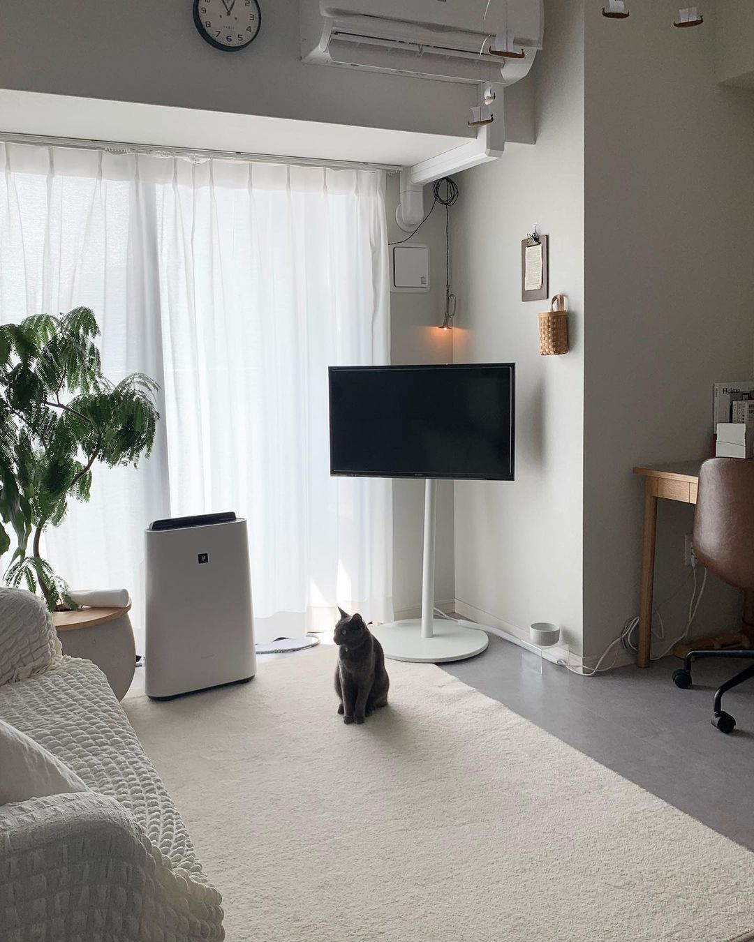 洗えるはっ水ラグ daily rug｜撥水 抗菌 防臭 防ダニ 滑り止め 床暖房