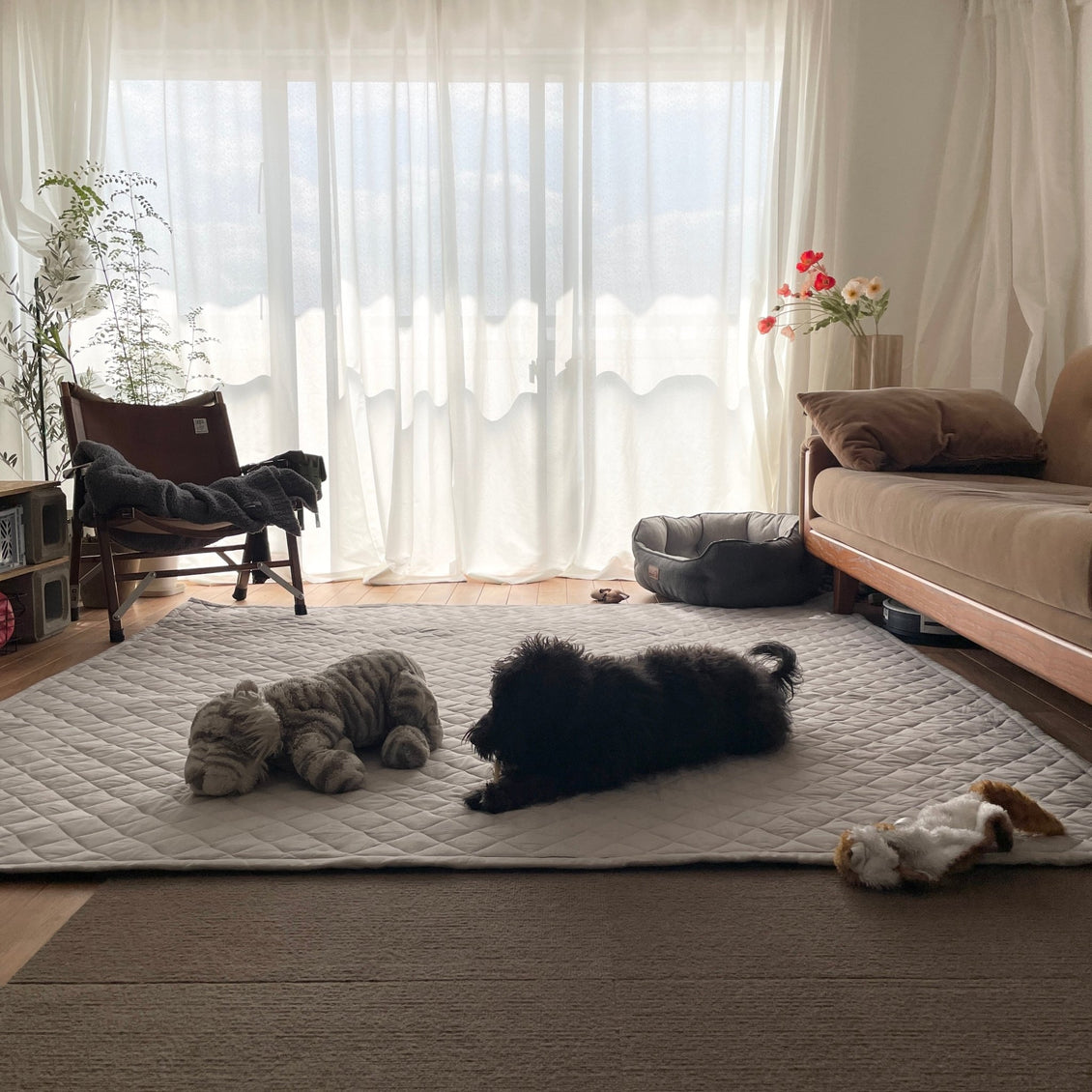 SE-4473-Little Rooms select-air rug × ふわもちセット -nuance color-