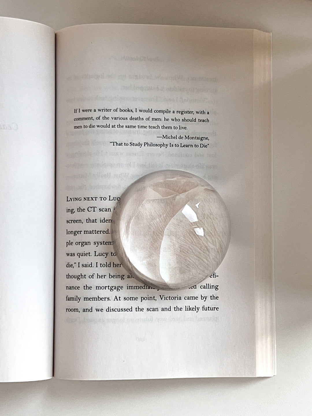 ninaroom ペーパーウェイト｜Reverie Paperweight – Little Rooms