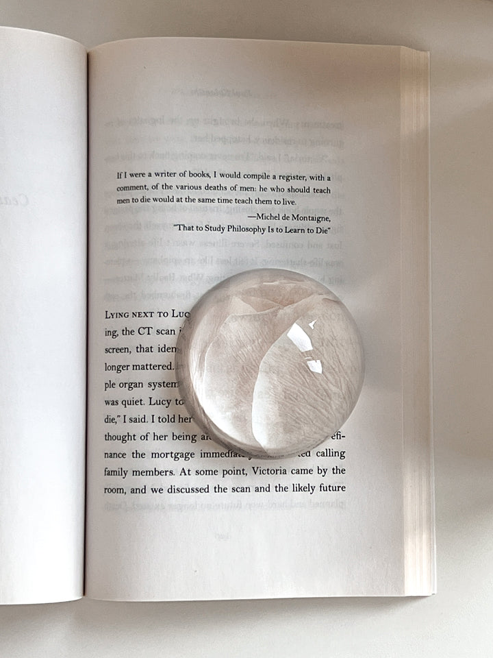 【非売品】Nikon F4発売記念 ペーパーウェイト 楕円型ペーパーウェイト【60×86mm】｜もらって嬉しい 卒業記念品・卒団