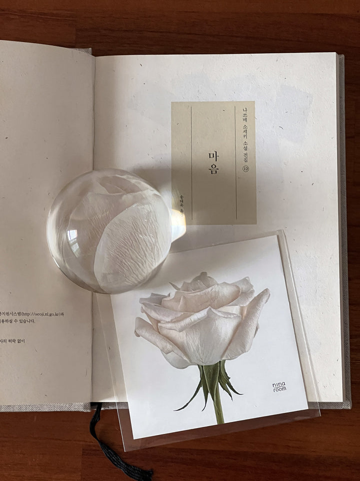 r7_54e9afc8-1bd9-4dcb-9c03-