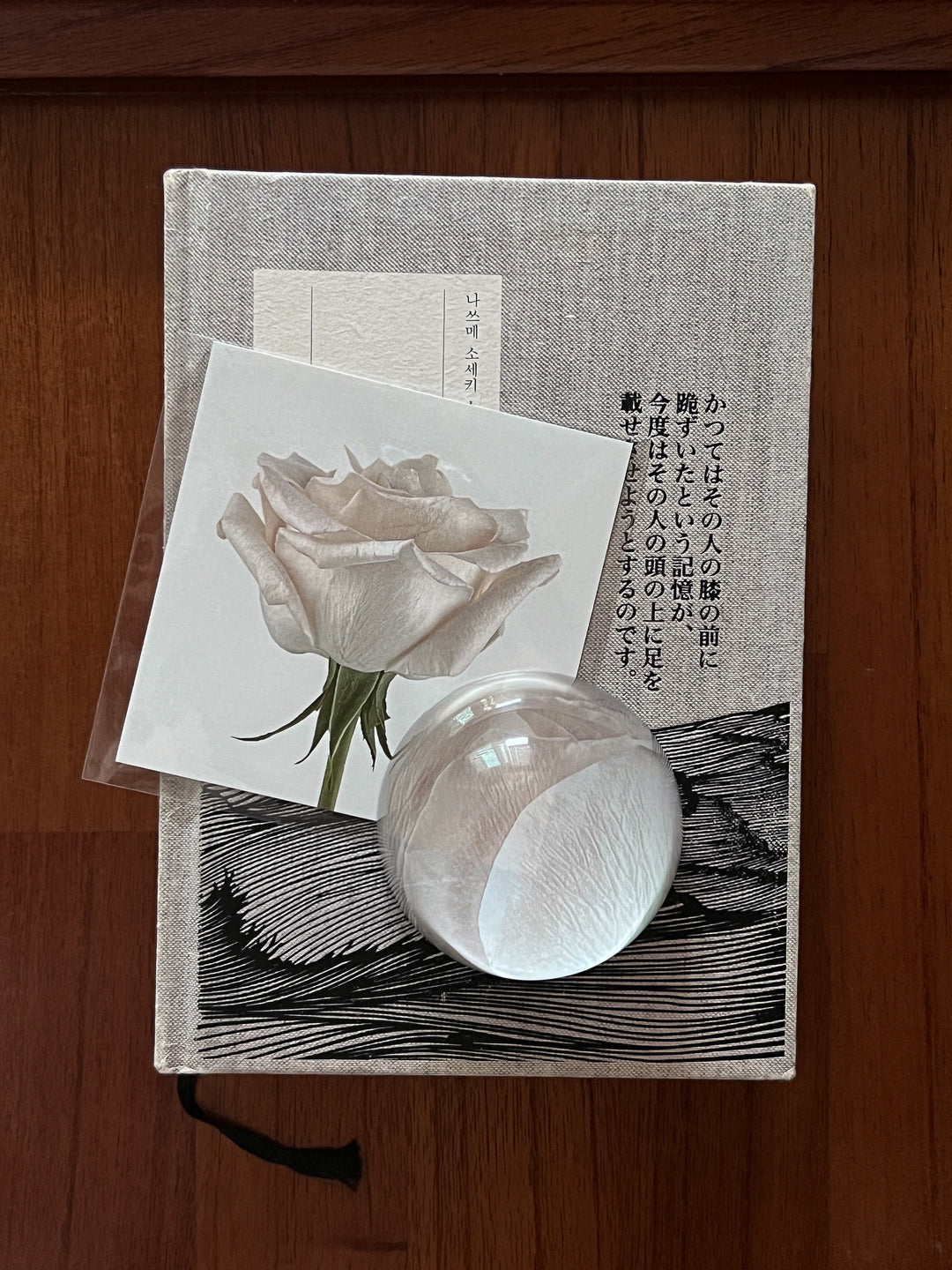ninaroom ペーパーウェイト｜Reverie Paperweight – Little Rooms