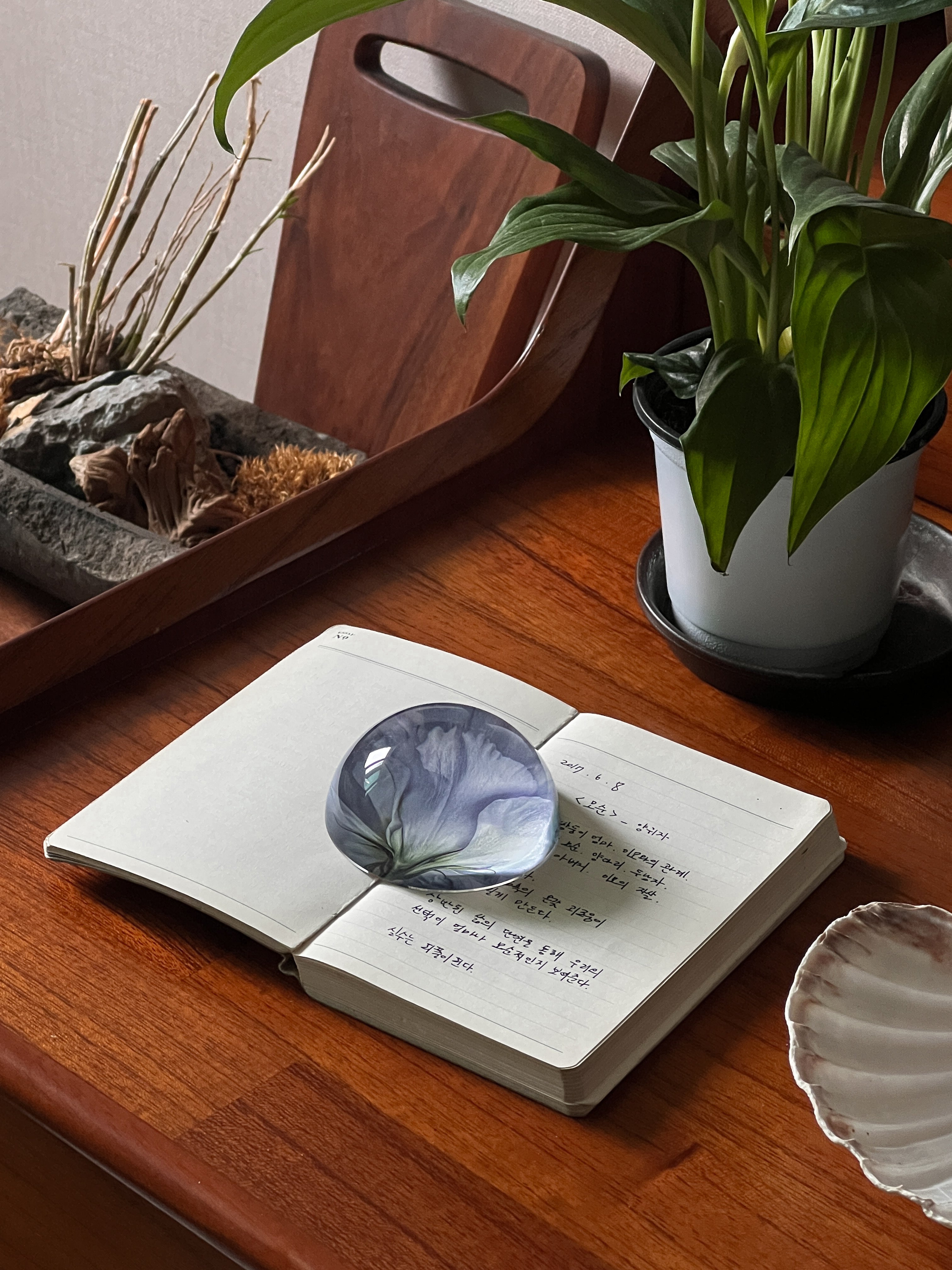 BR-4077-ninaroom-ninaroom ペーパーウェイト｜Siciliano Paperweight